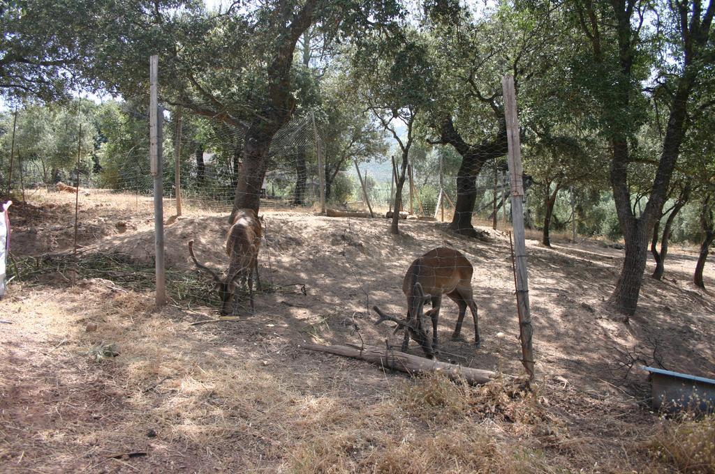 Casas Rurales La Loma Del Carrascal Hornos Bagian luar foto