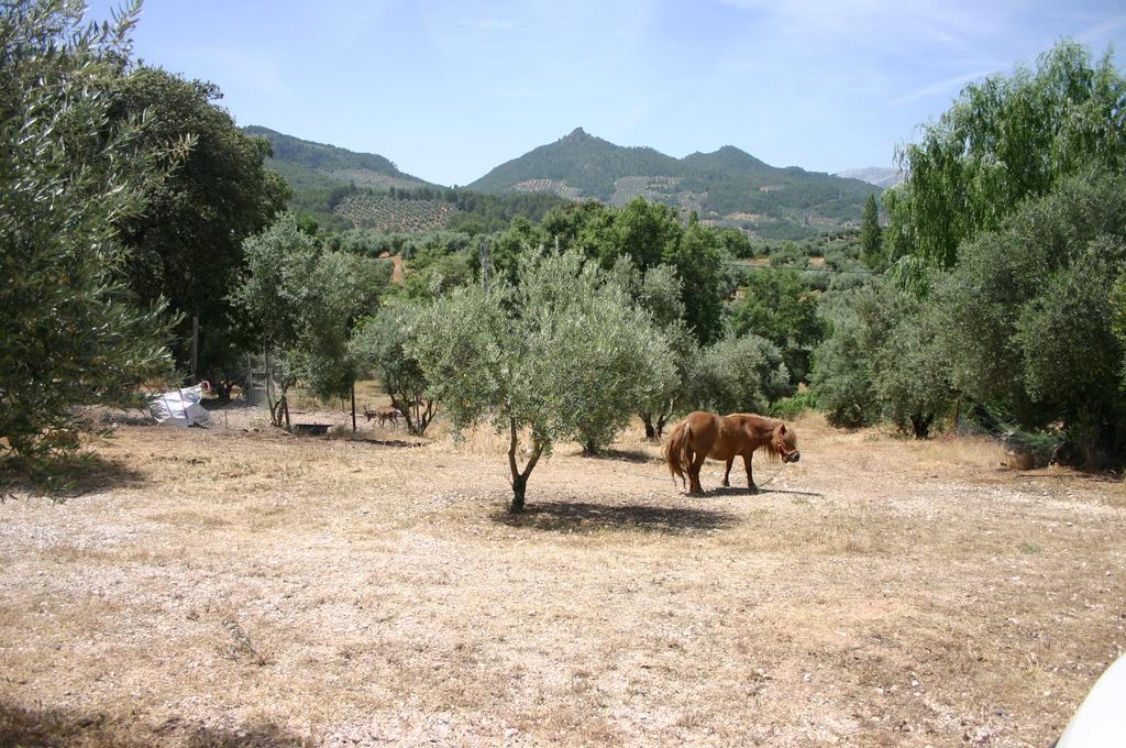 Casas Rurales La Loma Del Carrascal Hornos Bagian luar foto