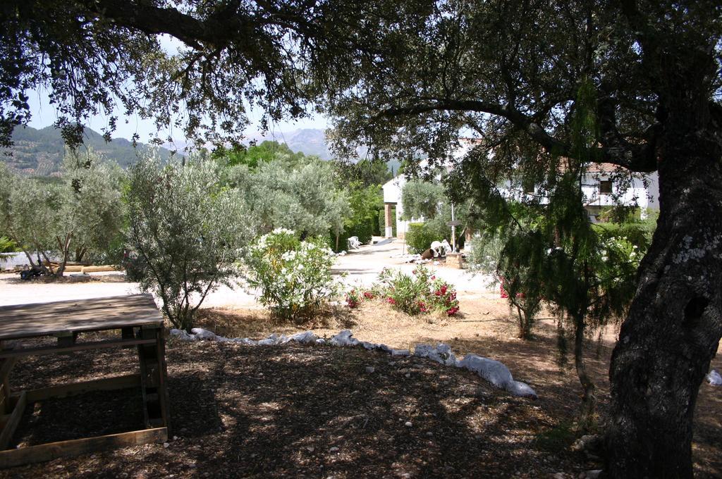 Casas Rurales La Loma Del Carrascal Hornos Bagian luar foto